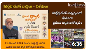 World Meditation Day Celebrations 2024